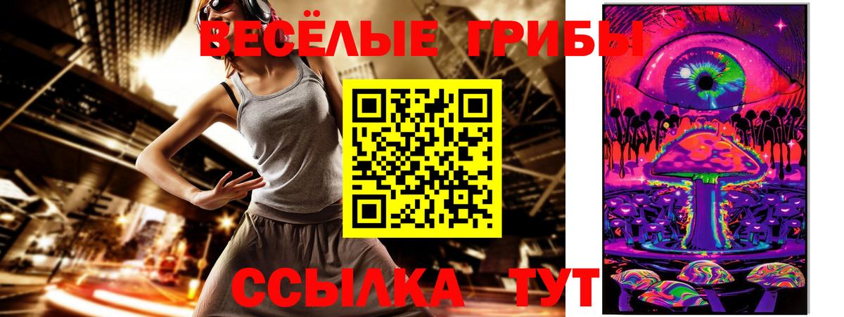 Псилоцибиновые грибы Psilocybe Керчь